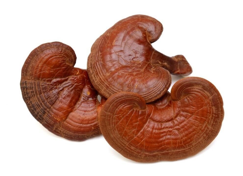 Weiprost contiene hongos reishi